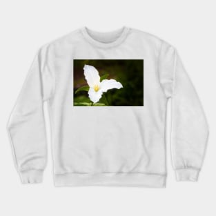 White Trillium Spring Flower Crewneck Sweatshirt